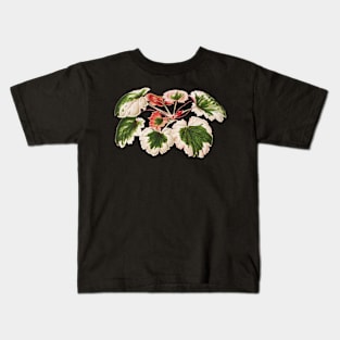 Variegated Strawberry Begonia - Saxifraga stolonifera - botanical illustration Kids T-Shirt